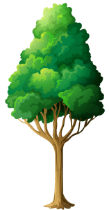 Green Tree Png Clipart 375836830