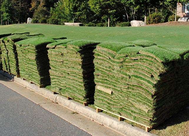 Sod Pic For Blog Page To Replace Pic On New Sod Watering & General Care Tips Post