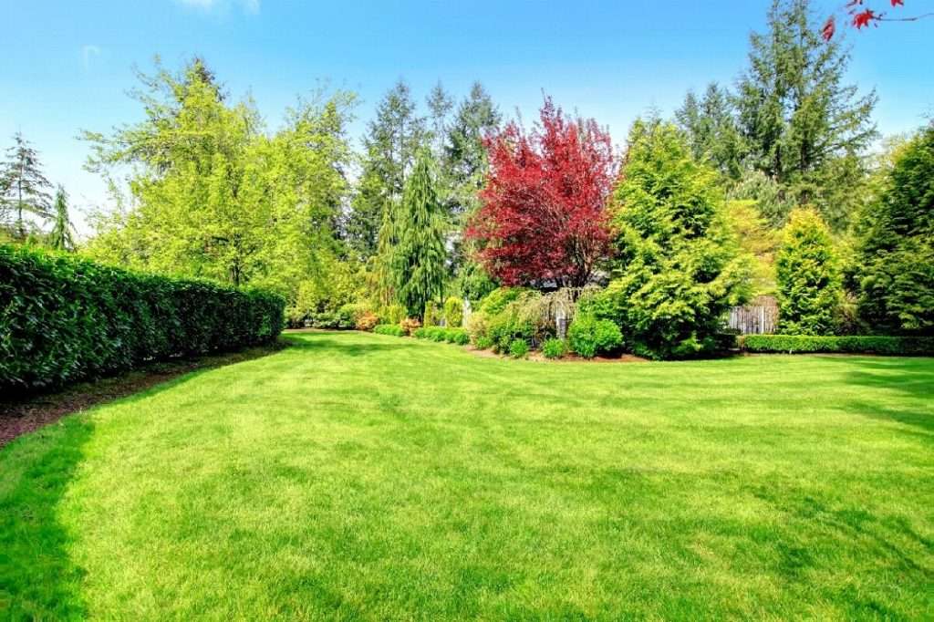 Why Fall Lawn Care Is A Must
