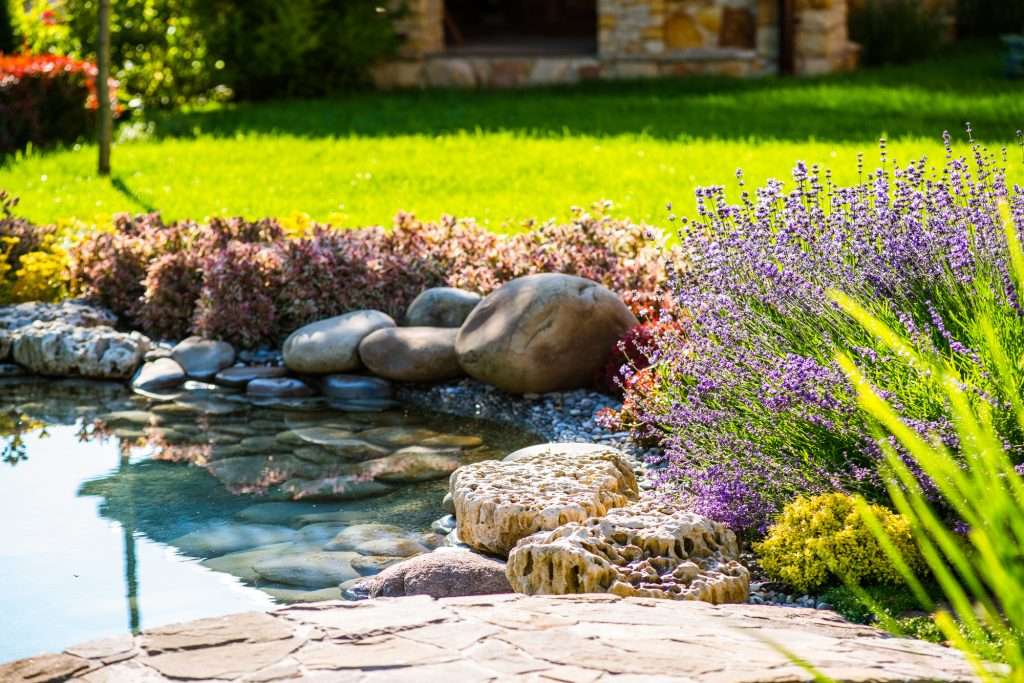 Beautiful Backyard Landscape Design. View Of Colorful Trees And Decorative Trimmed Bushes Rocks