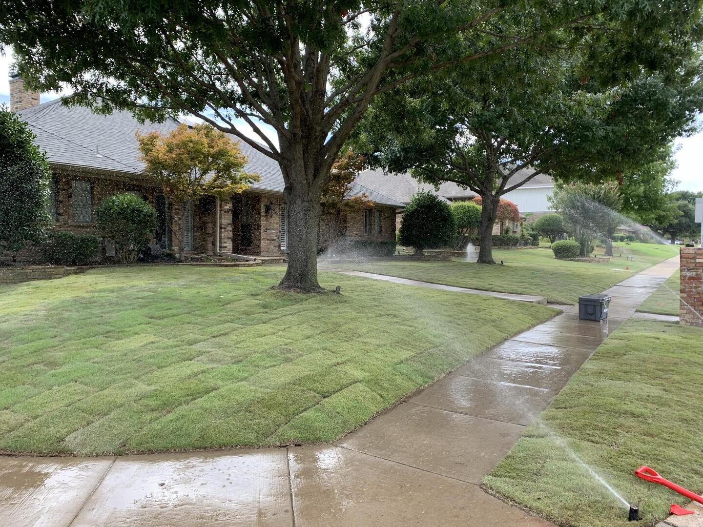 sod installation lawn project