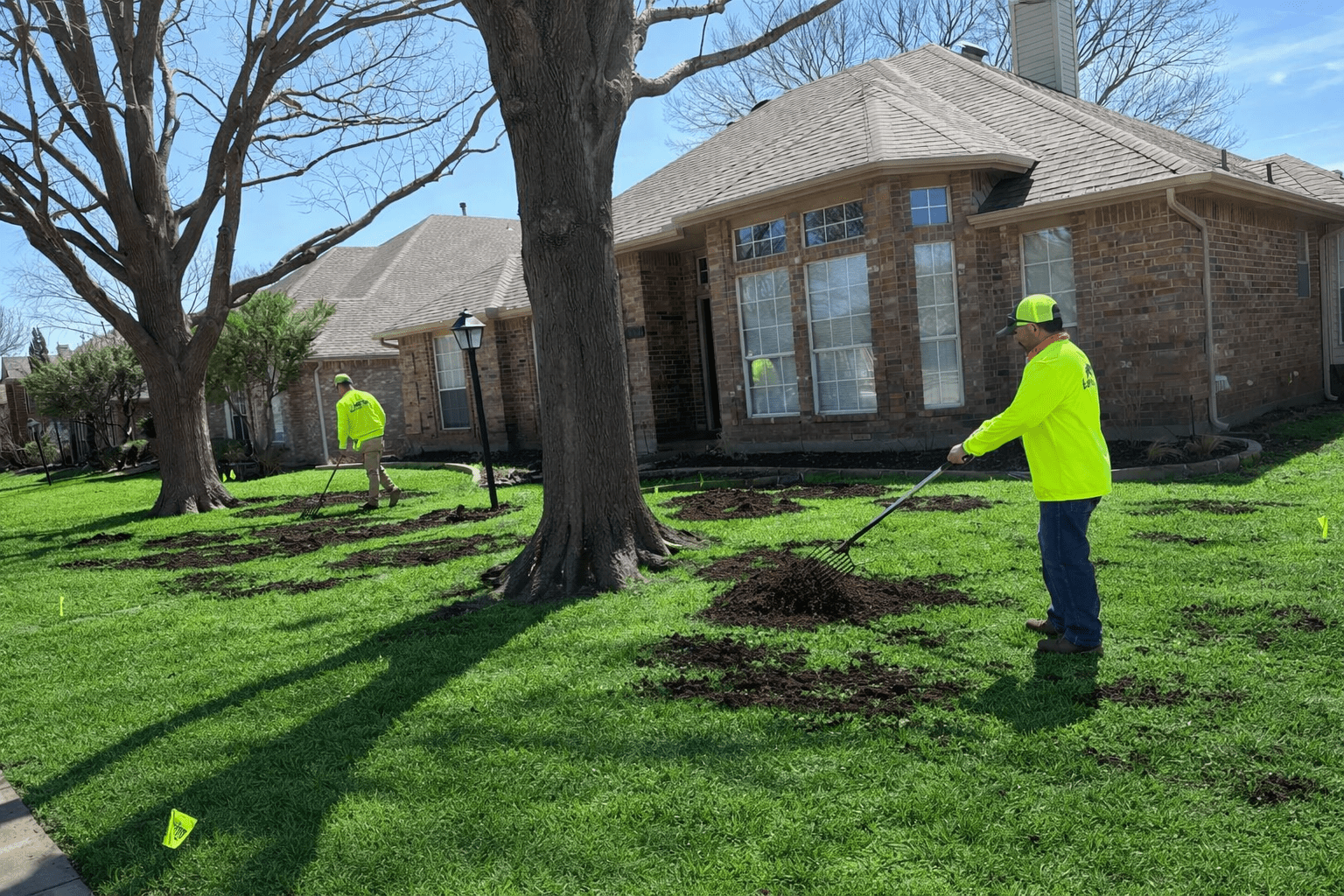 lawn landscaping services