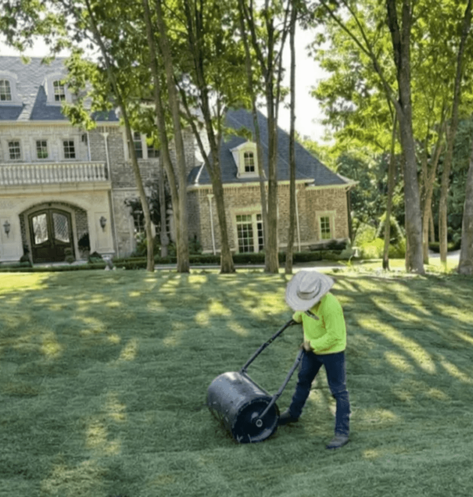 Natural grass sod laying process