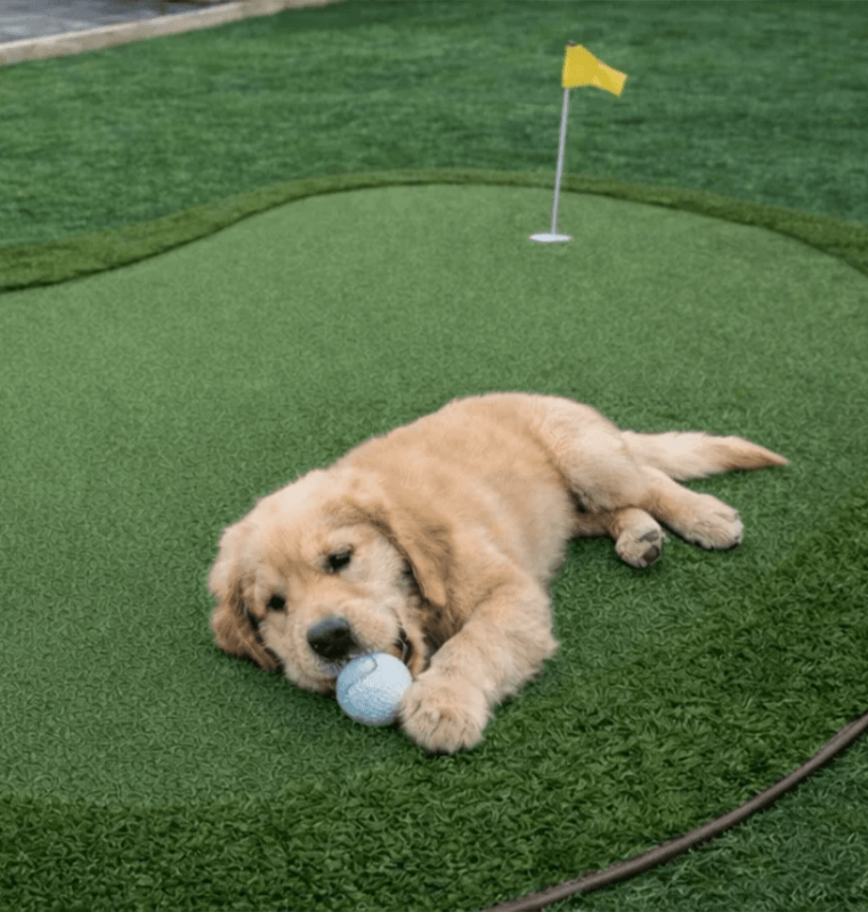 Artificial turf sample product display