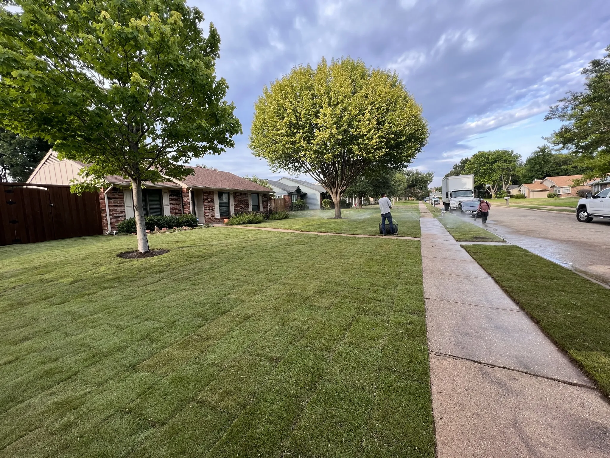 What Landscaping Services Does Terra Turf Offer
